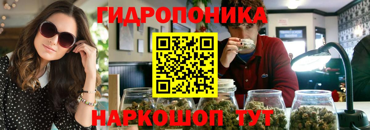 Канабис гибрид Семилуки